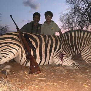 South Africa Hunting Burchell's Plain Zebra