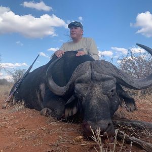 Hunt Cape Buffalo in South Africa