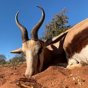 Hunting Springbok in South Africa