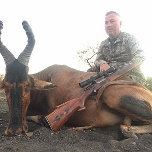 South Africa Hunting Red Hartebeest