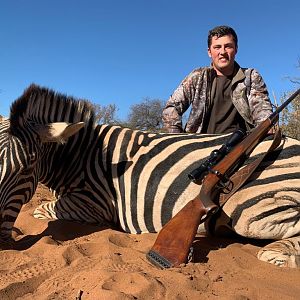 Hunt Burchell's Plain Zebra in South Africa