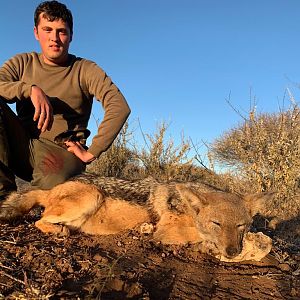 Jackal Hunting South Africa