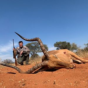 South Africa Hunt Impala