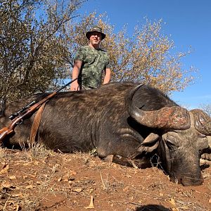 South Africa Hunting Cape Buffalo