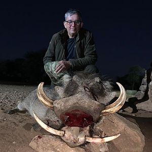 Warthog Hunting South Africa