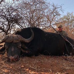 Cape Buffalo Hunt South Africa