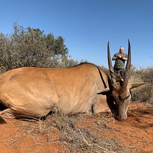 Hunt Eland in South Africa