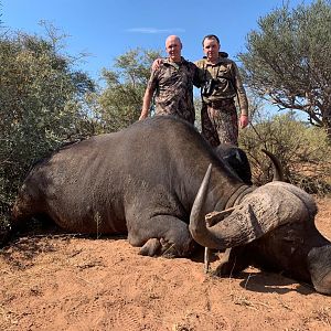 South Africa Hunting Buffalo