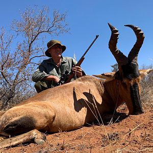 Hunting Red Hartebeest in South Africa