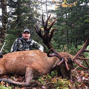 Canada Hunt Red Stag