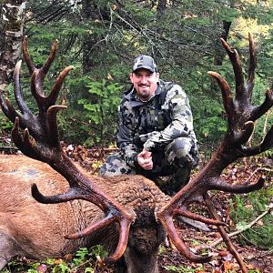 Canada Hunting Red Stag