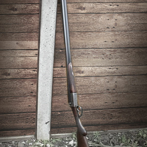 12 bore Shot-gun from Dickson & Son