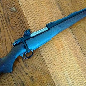 505 Gibbs custom CZ550 Rifle