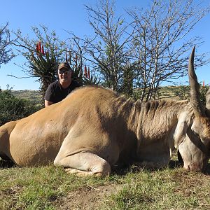 Eland Hunt South Africa