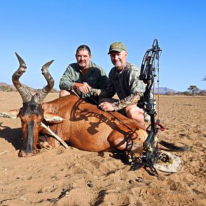 Red Hartebeest Bow Hunting Namibia