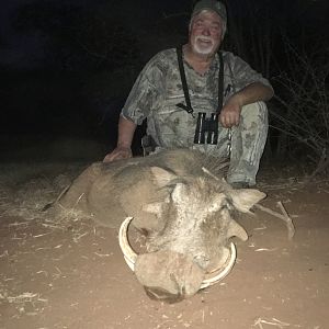 Hunting Warthog in South Africa