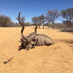 Namibia Hunt Kudu