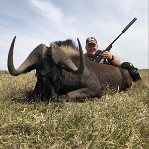 Hunting Black Wildebeest in South Africa