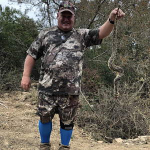 Hunting Puff Adder in South Africa