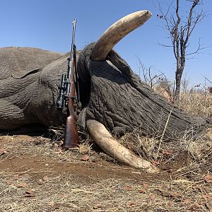 Zimbabwe Hunting Elephant