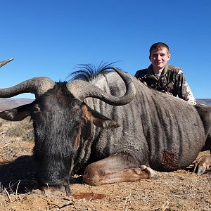 Hunt Blue Wildebeest in South Africa