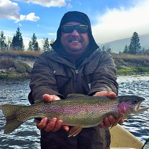 Fly Fishing Rainbow Trout in Montana & Idaho USA