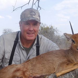 Steenbok Hunting South Africa