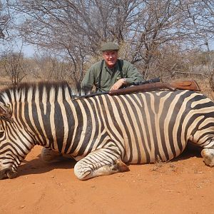 South Africa Hunt Burchell's Plain Zebra