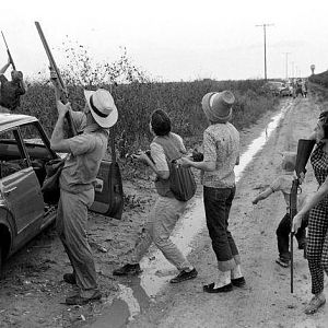 Dove Season in Texas