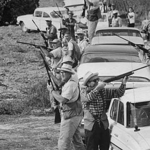 Dove Season in Texas