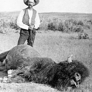 Buffalo hunt in Montana