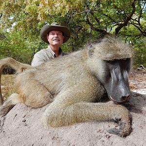 Hunt Baboon in Mozambique