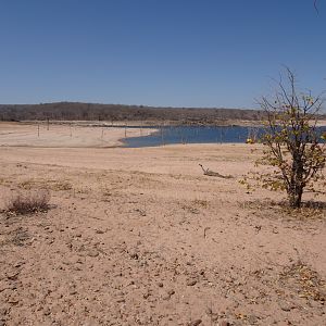 Hunting on the shores of Lake Kariba Zimbabwe