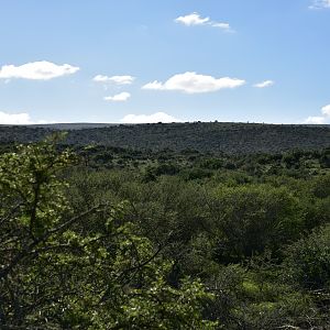 Hunting Area South Africa