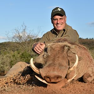 South Africa Hunting Warthog