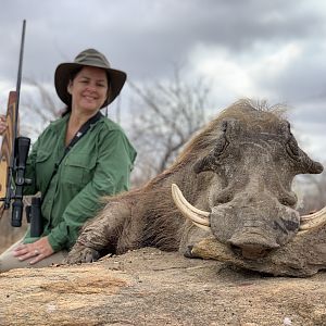 South Africa Hunting Warthog