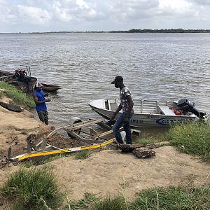 Mozambique Hunt