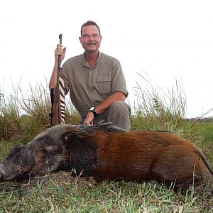 Mozambique Hunt Bushpig