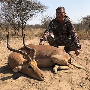 South Africa Hunt Impala