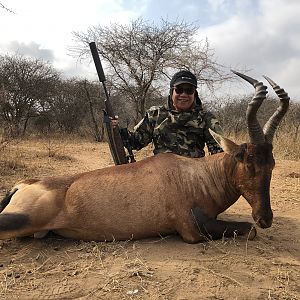 Hunting Red Hartebeest in South Africa