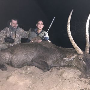 Waterbuck Hunt South Africa