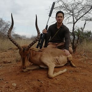 Impala Hunting South Africa