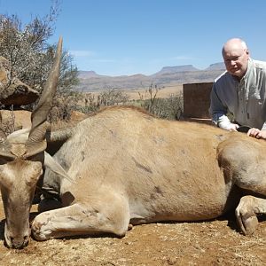 Eland Hunt South Africa