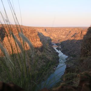 Zambezi River Zimbabwe