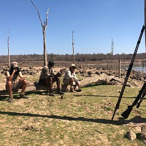 Hippo Hunt Zimbabwe