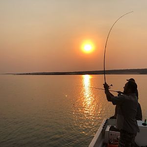 Tigerfish Fishing Lake Kariba Zimbabwe