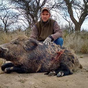 Wild Boar Hunt Argentina