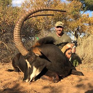 Sable Antelope Bow Hunt South Africa