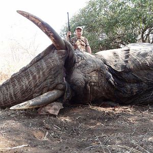 Hunting Elephant in Mozambique