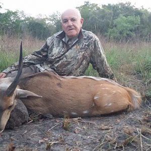 Hunting Bushbuck in Mozambique